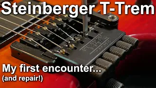 Steinberger T-Trem (AKA Trans-Trem) Repair, Setup & Thoughts