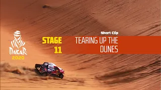 Dakar 2020 - Stage 11 - Tearing up the dunes