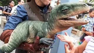 Raptor Encounter with Blue and Baby Tango in Jurassic World at Universal Studios Hollywood