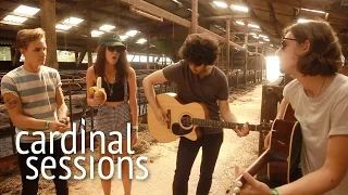 Findlay - Off & On - CARDINAL SESSIONS (Appletree Garden Special)