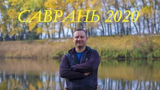 #тренеррыбак Саврань в ноября - лес, грибы, Южный Буг. Незабываемая красота!