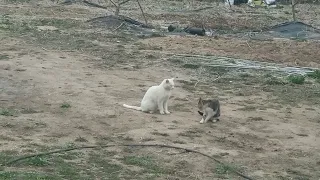 오빠!! 함 붙어 볼래!!! ㅎㅎ