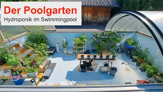 Der Poolgarten. Wir schwimmen im Salat - Hydroponik im Swimmingpool