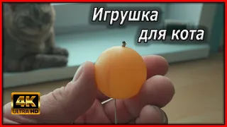 Как быстро и просто сделать игрушку для кота