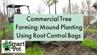 Commercial Tree Farming; Mound Planting Using Root Control Bags