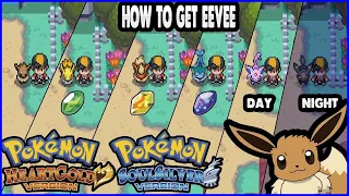 Pokemon HeartGold and SoulSilver - How to get Eevee & Evolve It!