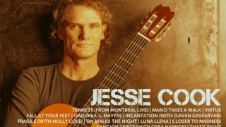 Jesse cook-Rain Revisited