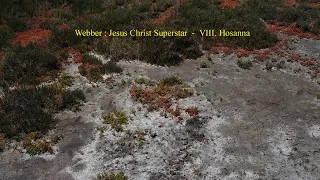 Webber : Jesus Christ Superstar  -  VIII. Hosanna