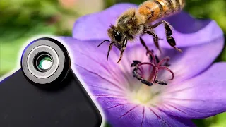 SANDMARC Macro Lens Review: An Amazing iPhone Lens at an Amazing Price