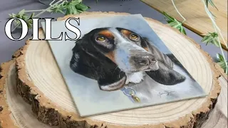 Basset Hound Oil Painting Timelapse | Pet Portrait in Oils