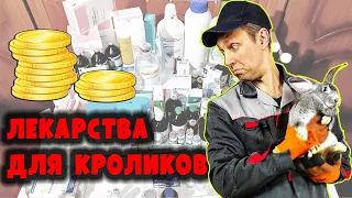 Чем лечить животных?