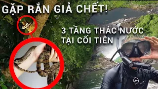 Snakes faking death | First time fishing on 3 floors of waterfall in Coi Tien | COME MINH VIETNAM