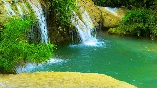 Nature Sounds: Stream Sounds & Relaxing Music for Healing, Stress Relief, Alleviating Anxiety