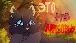 〖Cinderpelt〗『Это не любовь...』