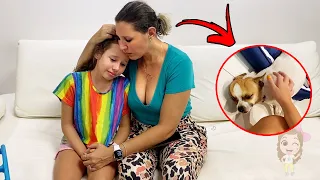 O  CACHORRO da Valentina Pontes FICOU MUITO DOENTE