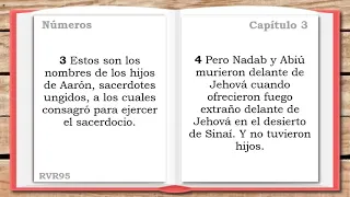 Libro COMPLETO de NÚMEROS - LA SANTA BIBLIA || Audiolibro ||