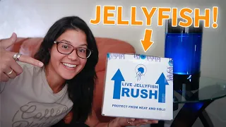 My PET JELLYFISH Have ARRIVED! **unboxing**