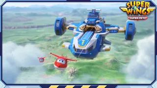 [SUPERWINGS5 Compilation] EP11~20 | Super Pets | Superwings Full Episodes | Super Wings
