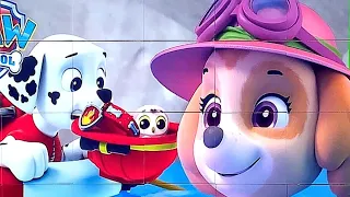 Skye and Marshall Rescues | PAW Patrol | Puzzle for kids and for fun | Puzzle Lovers