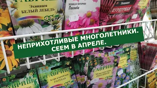 ЭТИ МНОГОЛЕТНИЕ ЦВЕТЫ ОБЯЗАТЕЛЬНО ПОСЕЙТЕ В АПРЕЛЕ.  Что посеять в апреле ?