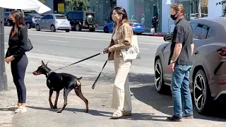 Kendall Jenner Brings Her Guard Dog Doberman 'Pyro' Along For Coffee Run