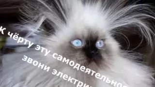 котоматрица 2