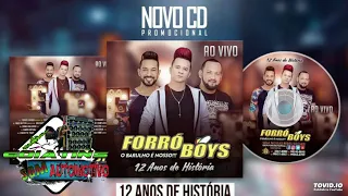 CD FORRO BOYS 12 ANOS DE HISTORIA AS MAIS TOCADAS