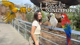 Mandai: BIRD PARADISE Singapore Walking Tour 2024 Asia's Largest Bird Park