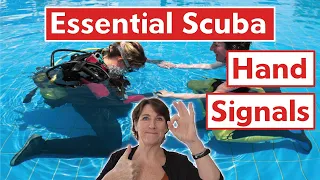 Beginner Divers: Basic Scuba Diving Hand Signals You Need To Know