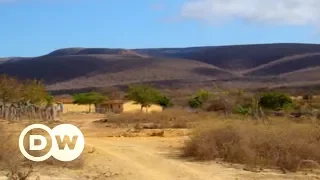 A caatinga preservada do semiárido brasileiro