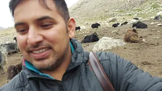 Yak Milk challenge Accepted.