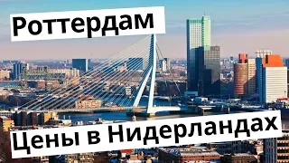 Цены в Нидерландах + Куда сходить БЕСПЛАТНО в Роттердаме / Rotterdam vlog