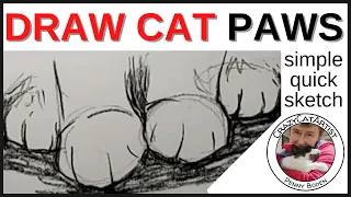 How to Draw Cat Paws on Sitting Kitty - simple method sketch tutorial for beginning artist & up
