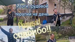 VLOG: Итог  трудотерапии  на даче..  Platansad  спасибо!