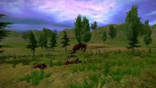 Mount & Blade-With Fire And Sword Multiplayer Crack PC