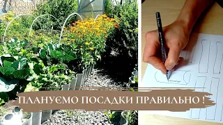 СУМІСНІСТЬ ОВОЧЕВИХ КУЛЬТУР 🥒🍅🌽//Малюю макет городини і планую правильно посадки ✔️#город #рослини