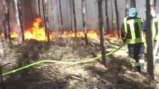 Waldbrand Schönwalde 3.8.2015