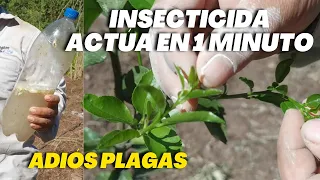 Adiós Plagas en 1 Minuto - Potente Insecticida para cítricos