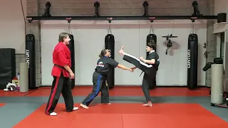 Adult Brown Belt Kicking Combinations