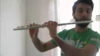 The Opened Way - Battle with the Colossus - (Flute Cover)