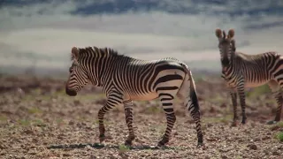 Travelling through Namibia