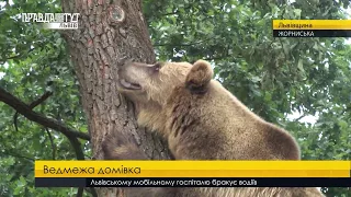 Випуск новин на ПравдаТУТ Львів 11.07.2018