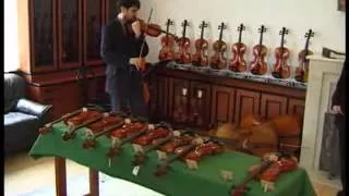 Akord Kvint String Instruments