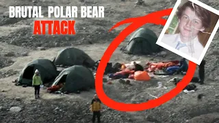 The Gruesome Reason Behind The Polar Bear Attack