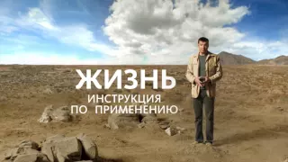 Жизнь.Инструкция по применению.Тизер HD