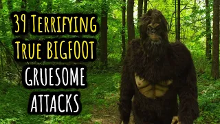 39 Terrifying True BIGFOOT Encounters | VOLUME 6