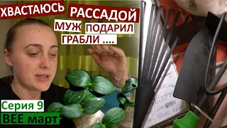 влог 9 / Рассада выросла / едем в село! / муж подарил грабли и лопату / отдаем Колю на футбол /