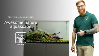 Awesome planted nature aquarium feat. Michael Mikkelsen