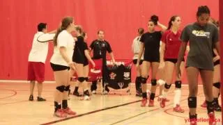 York Lions | Women's Volleyball Season Preview