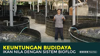 Tips budidaya ikan nila sistem bioflog hasilkan omset puluhan juta perbulan I ORI FISH BANGSRI